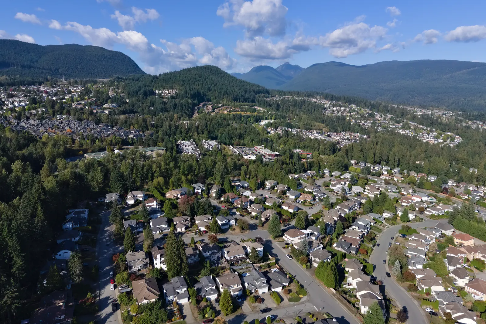 Streets of detached homes, with forested hills and mountains behind