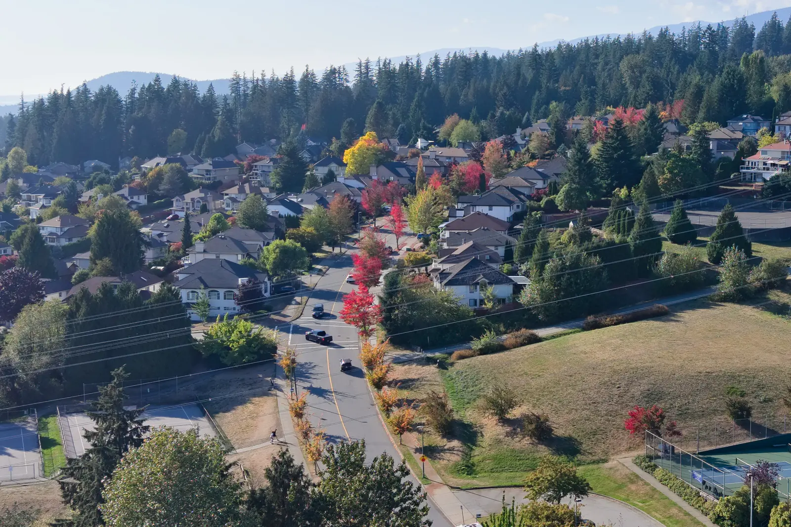A curving residential street lined with red and orange autumn trees, with houses set among tall evergreens